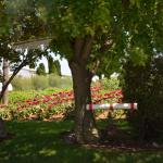 2017OTRA-1_430 (August 24, 2017)